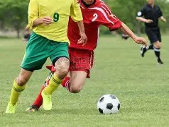 阿莫林警示,佳绩背后潜,藏隐忧,K8凯发,凯发官网,凯发国际